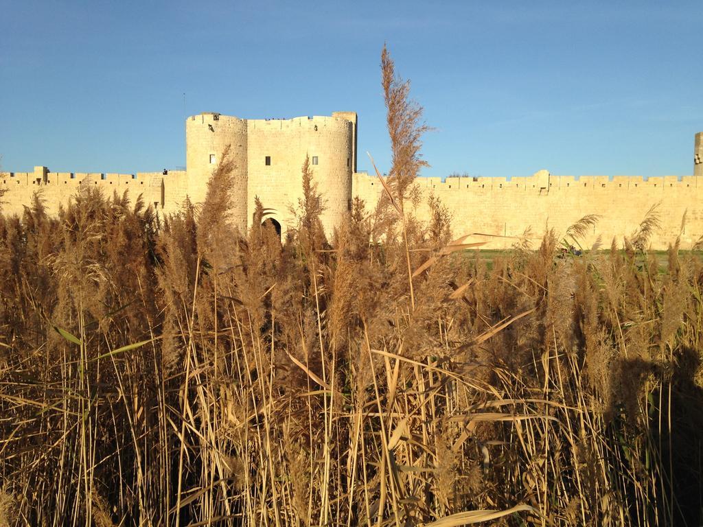 Les Chambres Du Midi Aigues-Mortes Extérieur photo